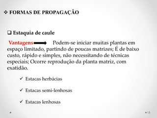  FORMAS DE PROPAGAÇÃO
 Estaquia de caule
Vantagens Podem-se iniciar muitas plantas em
espaço limitado, partindo de poucas matrizes; É de baixo
custo, rápido e simples, não necessitando de técnicas
especiais; Ocorre reprodução da planta matriz, com
exatidão.
 Estacas herbácias
 Estacas semi-lenhosas
 Estacas lenhosas
13
 