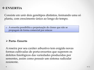  ENXERTIA
Consiste em unir dois genótipos distintos, formando uma só
planta, com crescimento único ao longo do tempo.
o A enxertia possibilita a perpetuação de clones que não se
propagam de forma comercial por estacas
 Porta- Enxerto
A roseira por seu caráter arbustivo tem exigido novas
formas cultivadas de porta-enxertos que superem os
defeitos fisiológicos das variedades produzidas por
sementes, assim como possuir um sistema radicular
resistente.
15
 