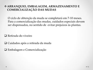 ARRANQUIO, EMBALAGEM, ARMAZENAMENTO E
COMERCIALIZAÇÃO DAS MUDAS
O ciclo de obtenção da muda se completará em 7-10 meses.
Para a comercialização das mudas, cuidados especiais devem
ser dispensados, no sentido de evitar prejuízos às plantas.
 Retirada do viveiro
 Cuidados após a retirada da muda
 Embalagem e Comercialização
19
 