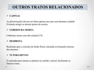 OUTROS TRATOS RELACIONADOS
 CAPINAS
As pulverizações devem ser feitas apenas nas ruas com bastante cuidado
Evitando atingir as demais partes da roseira.
 COBERTURA MORTA
Cobertura morta com alta relação C/N.
 DESBROTA
Realizada após a emissão do botão floral, retirando as brotações laterais
dos mesmos.
 TUTORAMENTO
É realizado para manter as plantas no sentido vertical, facilitando os
Demais tratos.
27
 