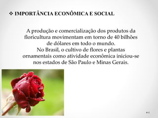  IMPORTÂNCIA ECONÔMICA E SOCIAL
A produção e comercialização dos produtos da
floricultura movimentam em torno de 40 bilhões
de dólares em todo o mundo.
No Brasil, o cultivo de flores e plantas
ornamentais como atividade econômica iniciou-se
nos estados de São Paulo e Minas Gerais.
4
 