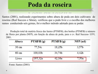 Poda da roseira
Santos (2001), realizando experimentos sobre altura de poda em dois cultivares de
roseiras (Red Success e Sônia), verificou que a poda livre e a escolha dos melhores
ramos conduzindo seis gemas, foi o melhor método adotado para se podar.
Fonte: Santos (2001)
Produção total de matéria fresca das hastes (PTMFH), dos botões (PTMFB) e número
de flores por planta (NFP), em função da altura de poda, para o cv. Red Success- UFV,
2001.
44
 