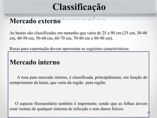 Classificação
Mercado externo
As hastes são classificadas em tamanho que varia de 25 a 90 cm (25 cm, 30-40
cm, 40-50 cm, 50-60 cm, 60-70 cm, 70-80 cm e 80-90 cm).
Rosas para exportação devem apresentar as seguintes características:
PÉTALA
 Não apresentar manchas de Botrytis;
 Dobras de amassado mecânicos;
 Furos de espinhos;
 Não conter pragas;
 Cor e tamanho dentro das especificações;
 Abertura conforme padrão da variedade.
SÉPALAS:
 Devem ter todas as sépalas perfeitas;
 Não devem apresentar manchas de oídio.
RECEPTÁCULO:
 Não deve apresentar mancha de oídio.
HASTES:
 Proporcionais ao comprimento;
 Proporcionais ao tamanho do botão;
 Proporcionais ás folhas.
FOLHAS:
 Limpas de defensivos e poeira;
 Verdes;
 Não apresentar manchas causadas por pragas e doenças;
 Folhas inteiras;
 Não devem apresentar deformações físicas;
 Nos 2/3 superiores não podem faltar folíolos.
Mercado interno
A rosa para mercado interno, é classificada, principalmente, em função do
comprimento da haste, que varia da região para região.
O aspecto fitossanitário também é importante, sendo que as folhas devem
estar isentas de qualquer sintoma de infecção e sem danos físicos.
56
 