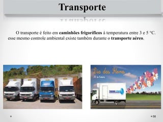 Transporte
O transporte é feito em caminhões frigoríficos á temperatura entre 3 e 5 °C.
esse mesmo controle ambiental existe também durante o transporte aéreo.
58
 