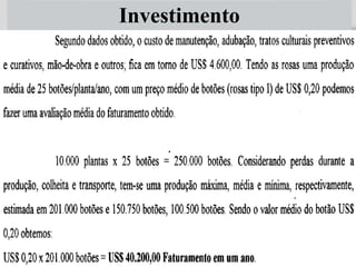 60
Investimento
O investimento inicial não é baixo, porém a sua amortização és rápida, já que em
apenas um ano após o início do cultivo, já se tem a primeira produção.
 
