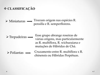  CLASSIFICAÇÃO
 Miniaturas Tiveram origem nas espécies R.
pensilla e R. semperflorens.
Trepadeiras
Esse grupo abrange roseiras de
várias origens, mas particularmente
as R. multiflora, R. wichuraiana e
mutações de Hibridas de Chá.
Poliantas Cruzamento entre R. multiflora x R.
chinensis ou Híbridas Perpétuas.
7
 