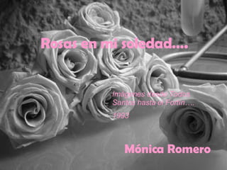Rosas en mi soledad…. Imágenes desde Todos Santos hasta el Fortín…. 1993 Mónica Romero 