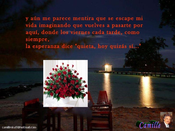 Rosas cancion oreja de van gogh _camille_sk