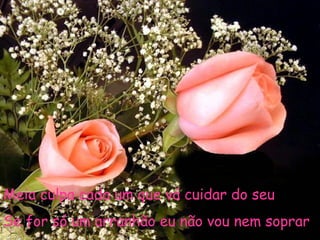 Meia culpa cada um que vá cuidar do seu
Se for só um arranhão eu não vou nem soprar
 