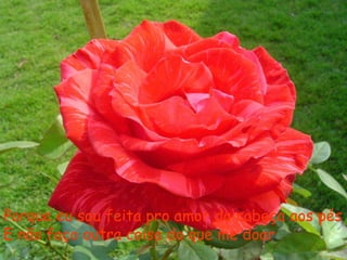 Porque eu sou feita pro amor da cabeça aos pés
E não faço outra coisa do que me doar
 