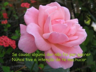 Se causei alguma dor não foi por querer
Nunca tive a intenção de te machucar
 