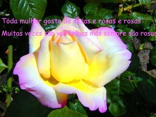 Toda mulher gosta de rosas e rosas e rosas
Muitas vezes são vermelhas mas sempre são rosas
 