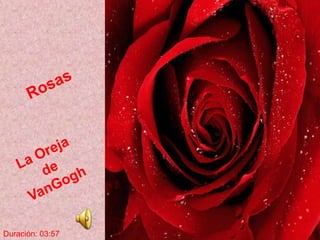 Rosas La Oreja de VanGogh Duración: 03:57 