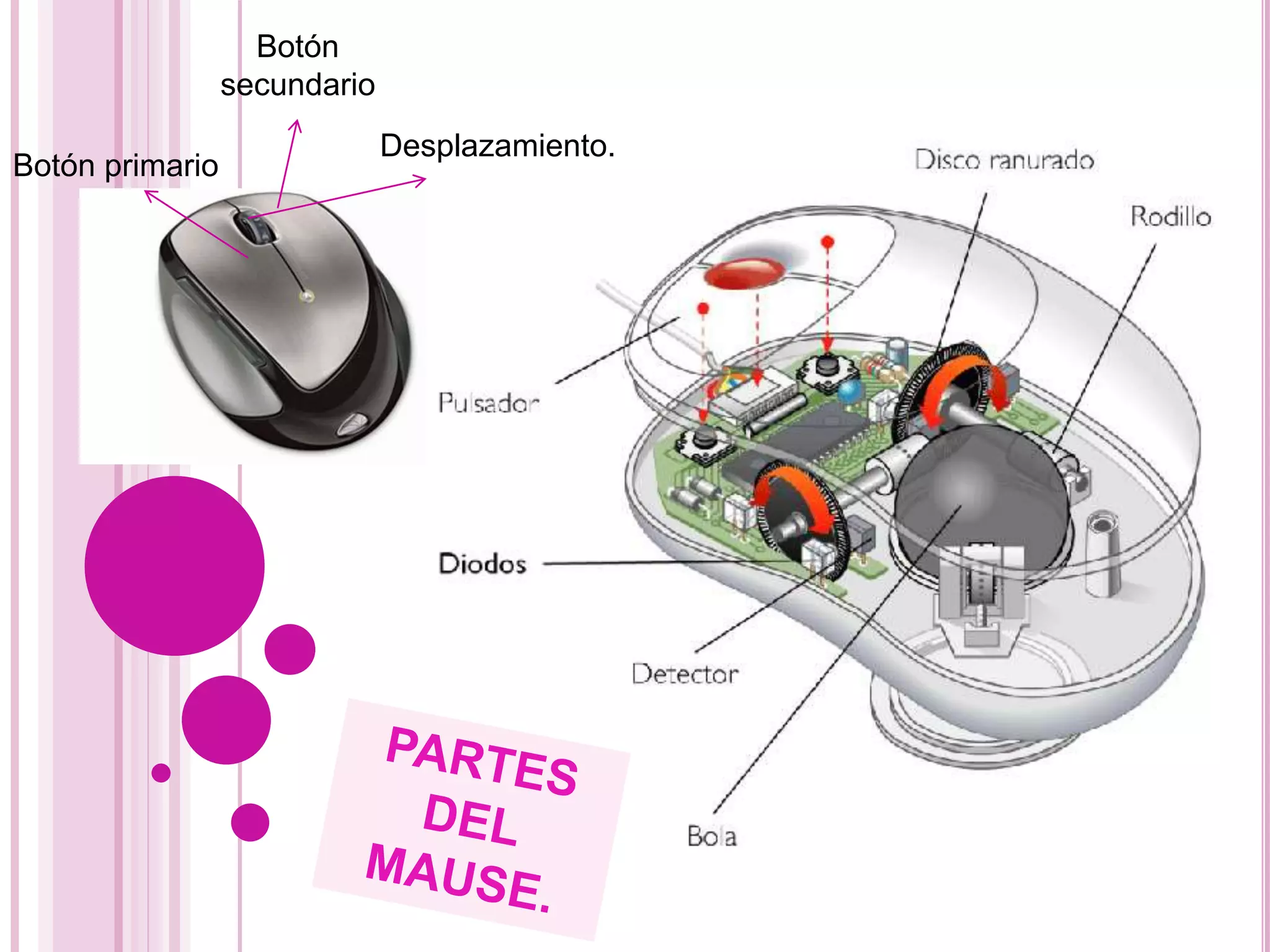Botón primario
Botón
secundario
Desplazamiento.
 