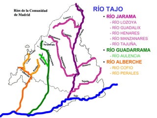 RÍO TAJO RÍO JARAMA -  RÍO LOZOYA - RÍO GUADALIX - RÍO HENARES - RÍO MANZANARES - RÍO TAJUÑA . RÍO GUADARRAMA - RÍO AULENCIA RÍO ALBERCHE - RIO COFIO - RÍO PERALES 