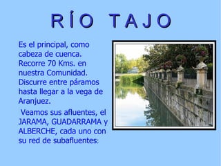 R Í O  T A J O Es el principal, como cabeza de cuenca.  Recorre 70 Kms. en nuestra Comunidad. Discurre entre páramos hasta llegar a la vega de Aranjuez. Veamos sus afluentes, el JARAMA, GUADARRAMA y ALBERCHE, cada uno con su red de subafluentes : 