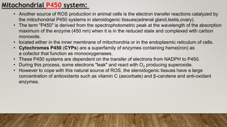 • Another source of ROS production in animal cells is the electron transfer reactions catalyzed by
the mitochondrial P450 systems in steroidogenic tissues(adrenal gland,testis,ovary).
• The term "P450" is derived from the spectrophotometric peak at the wavelength of the absorption
maximum of the enzyme (450 nm) when it is in the reduced state and complexed with carbon
monoxide.
• located either in the inner membrane of mitochondria or in the endoplasmic reticulum of cells.
• Cytochromes P450 (CYPs) are a superfamily of enzymes containing heme(iron) as
a cofactor that function as monooxygenases.
• These P450 systems are dependent on the transfer of electrons from NADPH to P450.
• During this process, some electrons "leak" and react with O2 producing superoxide.
• However to cope with this natural source of ROS, the steroidogenic tissues have a large
concentration of antioxidants such as vitamin C (ascorbate) and β-carotene and anti-oxidant
enzymes.
Mitochondrial P450 system:
 