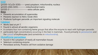 SOD
 SOD-1(Cu/Zn SOD)------pred.cytoplasm, mitochondria, nucleus
 SOD-2(Mn SOD)----------mitochondrial matrix
 SOD-3-----------------------extra cellular parts
ROLE:
 Prevents accumulation of superoxides
 Prevents reaction to Nitric Oxide (NO)
 Produces hydrogen peroxide ,an important signaling molecule
Catalase
 Works best at pH 7.
 Found in almost all aerobic organisms
 It contains four iron-containing heme groups that allow the enzyme to react with hydrogen peroxide.
 particularly high concentrations occurring in the liver in mammals . Found primarily in peroxisomes and
the cytosol of erythrocytes (and sometimes in mitochondria).
Glutathione peroxidase
 found in the cytoplasm of nearly all mammalian tissues
 Selenium containing enzyme
 Peroxidase activity. Protects cell from oxidative damage
 