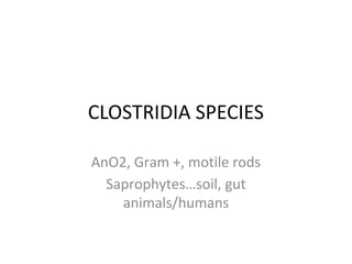 CLOSTRIDIA SPECIES
AnO2, Gram +, motile rods
Saprophytes…soil, gut
animals/humans
 