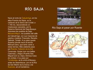 RÍO SAJA

Nace al norte de Cabuérniga, en los
altos Puertos de Sejos, en la
vertiente de la Sierra del Cordel, a
1.700 ms, descendiendo en
impetuosas cascadas, por la            Río Saja al pasar por Ruente
Reserva Nacional del Saja-Besaya.
Atraviesa los pueblos de Saja,
Bárcena Mayor, los pueblos del valle
de Cabuérniga, con sus Casonas de
piedra y madera: Fresneda, Renedo,
Selores, Teraán. A su paso queda
Sopeña (donde nació el escrito
Manuel Llano, que tanto cantó a
estas tierras). Más adelante pasa
por Ruente, Cabezón de la Sal,
Caranceja, Quijas (con sus bellas
Casonas), y llega a Puente San
Miguel (con su vieja y famosa Casa
de Juntas). A su paso por
Torrelavega, se le unirá el Besaya,
antes de desembocar, por en la Ría
de San Martín de la Arena o de
Suances, en el Cantábrico.
 