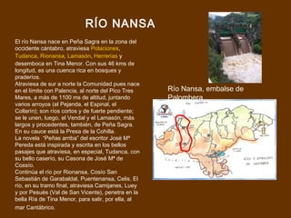 RÍO NANSA
El río Nansa nace en Peña Sagra en la zona del
occidente cántabro, atraviesa Polaciones,
Tudanca, Rionansa, Lamasón, Herrerías y
desemboca en Tina Menor. Con sus 46 kms de
longitud, es una cuenca rica en bosques y
praderíos.
Atraviesa de sur a norte la Comunidad pues nace
en el límite con Palencia, al norte del Pico Tres   Río Nansa, embalse de
Mares, a más de 1100 ms de altitud, juntando        Palombera
varios arroyos (el Pejanda, el Espinal, el
Collarín); son ríos cortos y de fuerte pendiente;
se le unen, luego, el Vendal y el Lamasón, más
largos y procedentes, también, de Peña Sagra.
En su cauce está la Presa de la Cohilla.
La novela “Peñas arriba” del escritor José Mª
Pereda está inspirada y escrita en los bellos
pasajes que atraviesa, en especial, Tudanca, con
su bello caserío, su Casona de José Mª de
Cossío.
Continúa el río por Rionansa, Cosío San
Sebastián de Garabaldal, Puentenansa, Celis. El
río, en su tramo final, atraviesa Camijanes, Luey
y por Pesués (Val de San Vicente), penetra en la
bella Ría de Tina Menor, para salir, por ella, al
mar Cantábrico.
 