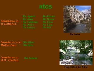 RÍOS
                   Río   Agüera      Río   Escudo
                   Río   Asón        Río   Nansa
Desembocan en      Río   Campiazo    Río   Deva
el Cantábrico.     Río   Miera       Río   Saja
                   Río   Besaya      Río   Pas

                                                        Río Deva


Desembocan en el   Río Híjar
Mediterráneo.      Río Ebro




Desembocan en       Río Camesa
el O. Atlántico.

                                                    Nacimiento del Ebro
 