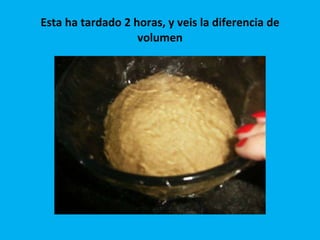 Esta ha tardado 2 horas, y veis la diferencia de volumen 