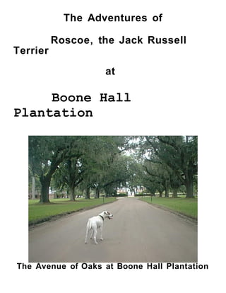 The Adventures of

 Roscoe, the Jack Russell Terrier


                    at


 Boone Hall Plantation




The Avenue of Oaks at Boone Hall Plantation
 