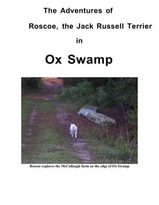 The Adventures of
Roscoe, the Jack Russell Terrier
in
Ox Swamp
Roscoe explores the McCollough farm on the edge of Ox Swamp
 