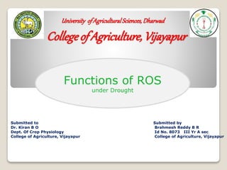 Functions of ROS
under Drought
University ofAgriculturalSciences,Dharwad
CollegeofAgriculture, Vijayapur
Submitted to
Dr. Kiran B O
Dept. Of Crop Physiology
College of Agriculture, Vijayapur
Submitted by
Brahmesh Reddy B R
Id No. 8073 III Yr A sec
College of Agriculture, Vijayapur
 