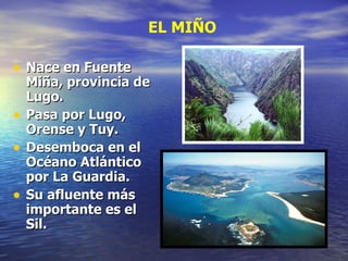 Nace en Fuente Miña, provincia de Lugo. Pasa por Lugo, Orense y Tuy. Desemboca en el Océano Atlántico por La Guardia. Su afluente más importante es el Sil.  EL MIÑO 