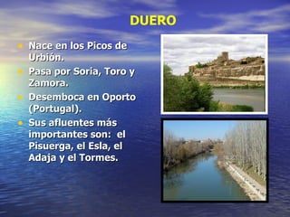 Nace en los Picos de Urbión. Pasa por Soria, Toro y Zamora. Desemboca en Oporto (Portugal). Sus afluentes más importantes son:  el Pisuerga, el Esla, el Adaja y el Tormes. DUERO 
