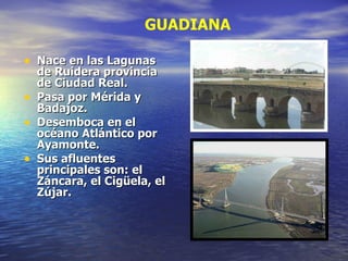 Nace en las Lagunas de Ruidera provincia de Ciudad Real. Pasa por Mérida y Badajoz. Desemboca en el océano Atlántico por Ayamonte. Sus afluentes principales son: el Záncara, el Cigüela, el Zújar.  GUADIANA 