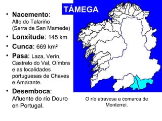 • Nacemento: 
Alto do Talariño 
(Serra de San Mamede) 
• Lonxitude: 145 km 
• Cunca: 669 km2 
• Pasa: Laza, Verín, 
Castre...