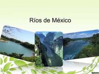 Ríos de México

 