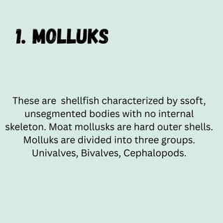 1. MOLLUKS
These are shellfish characterized by ssoft,
unsegmented bodies with no internal
skeleton. Moat mollusks are hard outer shells.
Molluks are divided into three groups.
Univalves, Bivalves, Cephalopods.
 