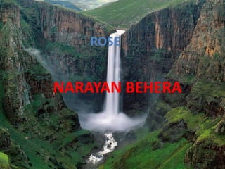 ROSE NARAYAN BEHERA 