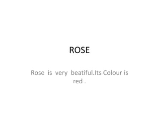 ROSE  Rose  is  very  beatiful.ItsColour is red . 