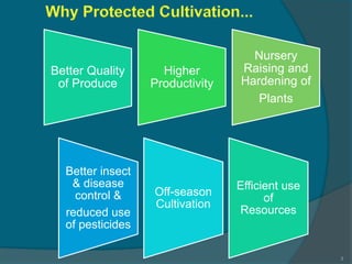 Better Quality
of Produce
Higher
Productivity
Nursery
Raising and
Hardening of
Plants
Better insect
& disease
control &
reduced use
of pesticides
Off-season
Cultivation
Efficient use
of
Resources
3
 