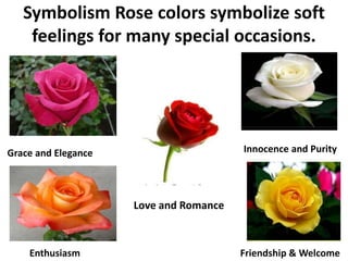 Rose cultivation | PPTX