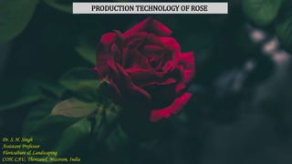 PRODUCTION TECHNOLOGY OF ROSE
Dr. S. H. Singh
Assistant Professor
Floriculture & Landscaping
COH, CAU, Thenzawl, Mizoram, India
 