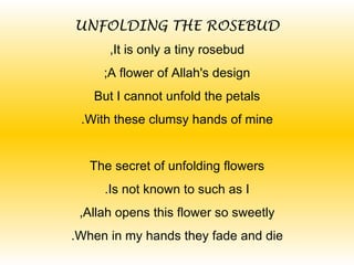 UNFOLDING THE ROSEBUD
      ,It is only a tiny rosebud
     ;A flower of Allah's design
   But I cannot unfold the petals
 .With these clumsy hands of mine


   The secret of unfolding flowers
     .Is not known to such as I
 ,Allah opens this flower so sweetly
.When in my hands they fade and die
 