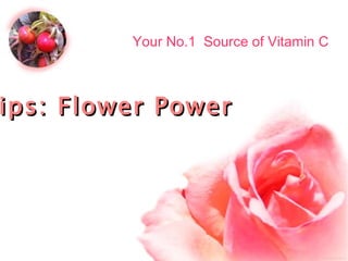 Rose Hips: Flower Power Your No.1  Source of Vitamin C 