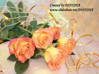 Beautiful Roses For Your Lover Beautiful Roses For Your Lover