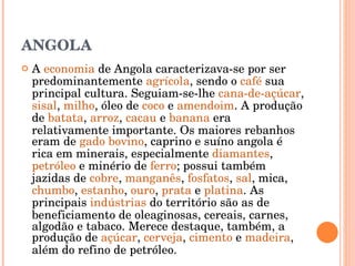 ANGOLA A  economia  de Angola caracterizava-se por ser predominantemente  agrícola , sendo o  café  sua principal cultura. Seguiam-se-lhe  cana-de-açúcar ,  sisal ,  milho , óleo de  coco  e  amendoim . A produção de  batata ,  arroz ,  cacau  e  banana  era relativamente importante. Os maiores rebanhos eram de  gado bovino , caprino e suíno angola é rica em minerais, especialmente  diamantes ,  petróleo  e minério de  ferro ; possui também jazidas de  cobre ,  manganês ,  fosfatos ,  sal , mica,  chumbo ,  estanho ,  ouro ,  prata  e  platina . As principais  indústrias  do território são as de beneficiamento de oleaginosas, cereais, carnes, algodão e tabaco. Merece destaque, também, a produção de  açúcar ,  cerveja ,  cimento  e  madeira , além do refino de petróleo. 