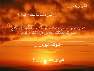 الذي نريده  ..... ....  ليس دائماً ما نحتاج إليه !!! الله لا يقصّر أبداً في منحك ما توسلت من أجله، لذلك فتابع مسيرتك بعلاقتك معه من دون شك أو تذمر شوكة اليوم ...... هي وردة غداً ......!   