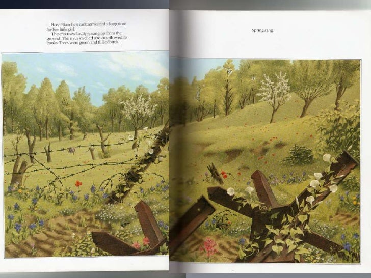 Rose Blanche by Fiona Boersma