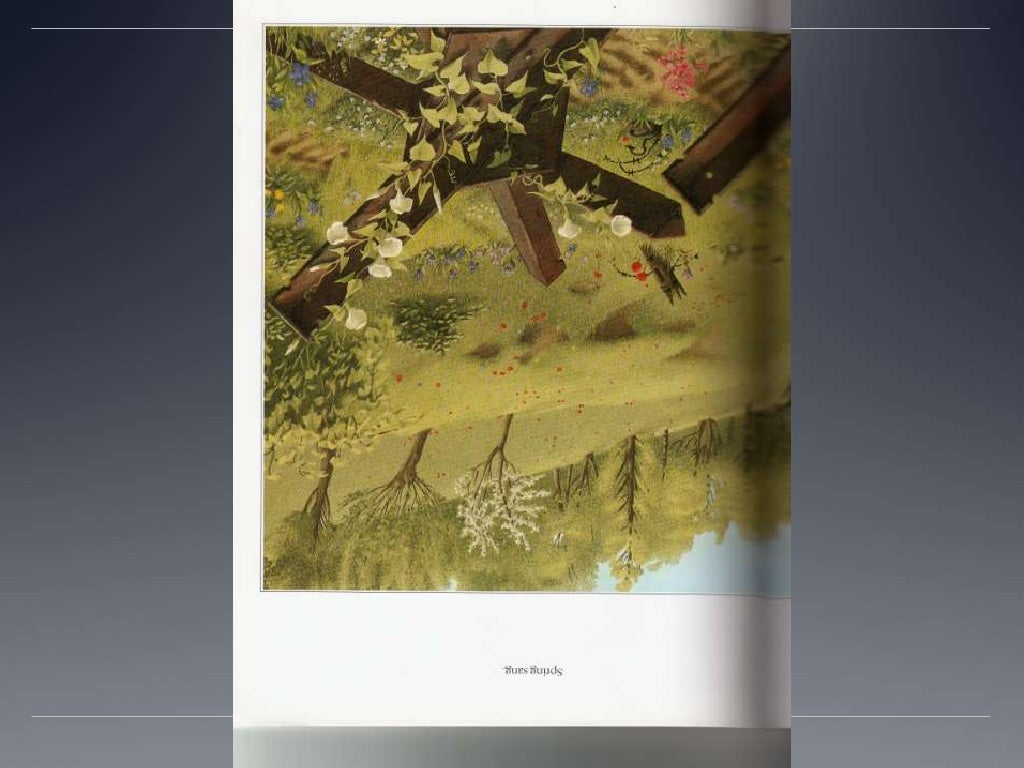 Rose Blanche Book For Infering