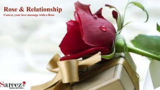 Rose & Relationship
Convey your love message with a Rose
 