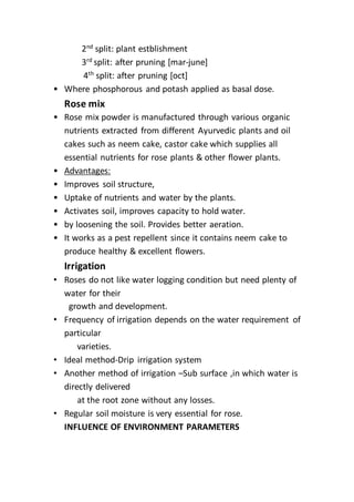 2nd
split: plant estblishment
3rd
split: after pruning [mar-june]
4th
split: after pruning [oct]
• Where phosphorous and potash applied as basal dose.
Rose mix
• Rose mix powder is manufactured through various organic
nutrients extracted from different Ayurvedic plants and oil
cakes such as neem cake, castor cake which supplies all
essential nutrients for rose plants & other flower plants.
• Advantages:
• Improves soil structure,
• Uptake of nutrients and water by the plants.
• Activates soil, improves capacity to hold water.
• by loosening the soil. Provides better aeration.
• It works as a pest repellent since it contains neem cake to
produce healthy & excellent flowers.
Irrigation
• Roses do not like water logging condition but need plenty of
water for their
growth and development.
• Frequency of irrigation depends on the water requirement of
particular
varieties.
• Ideal method-Drip irrigation system
• Another method of irrigation –Sub surface ,in which water is
directly delivered
at the root zone without any losses.
• Regular soil moisture is very essential for rose.
INFLUENCE OF ENVIRONMENT PARAMETERS
 